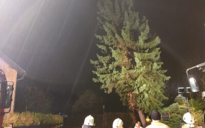 Baum droht auf Haus zu stürzen