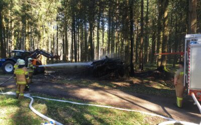 Wald- / Flurbrand in Hallwang