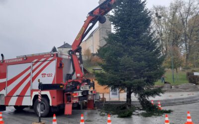Christbaum aufstellen am Dorfplatz