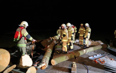 Monatsübung Muntigl – Rundholzlagerunfall