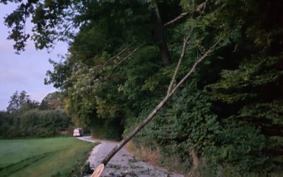 Baum umgestürzt Plainbergweg