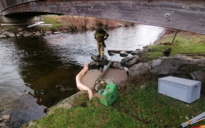 Öleinsatz Fischach