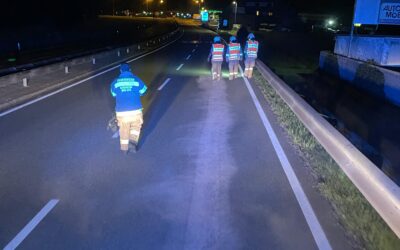 Ölspur von Lengfelden bis Elixhausen