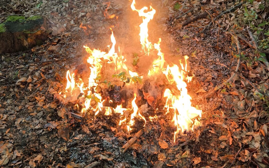 Waldbrand verhindert