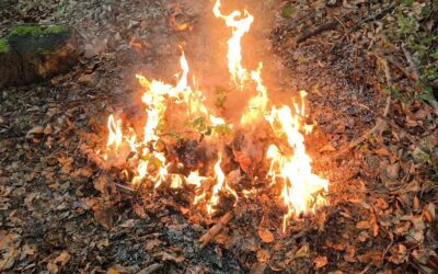 Waldbrand verhindert